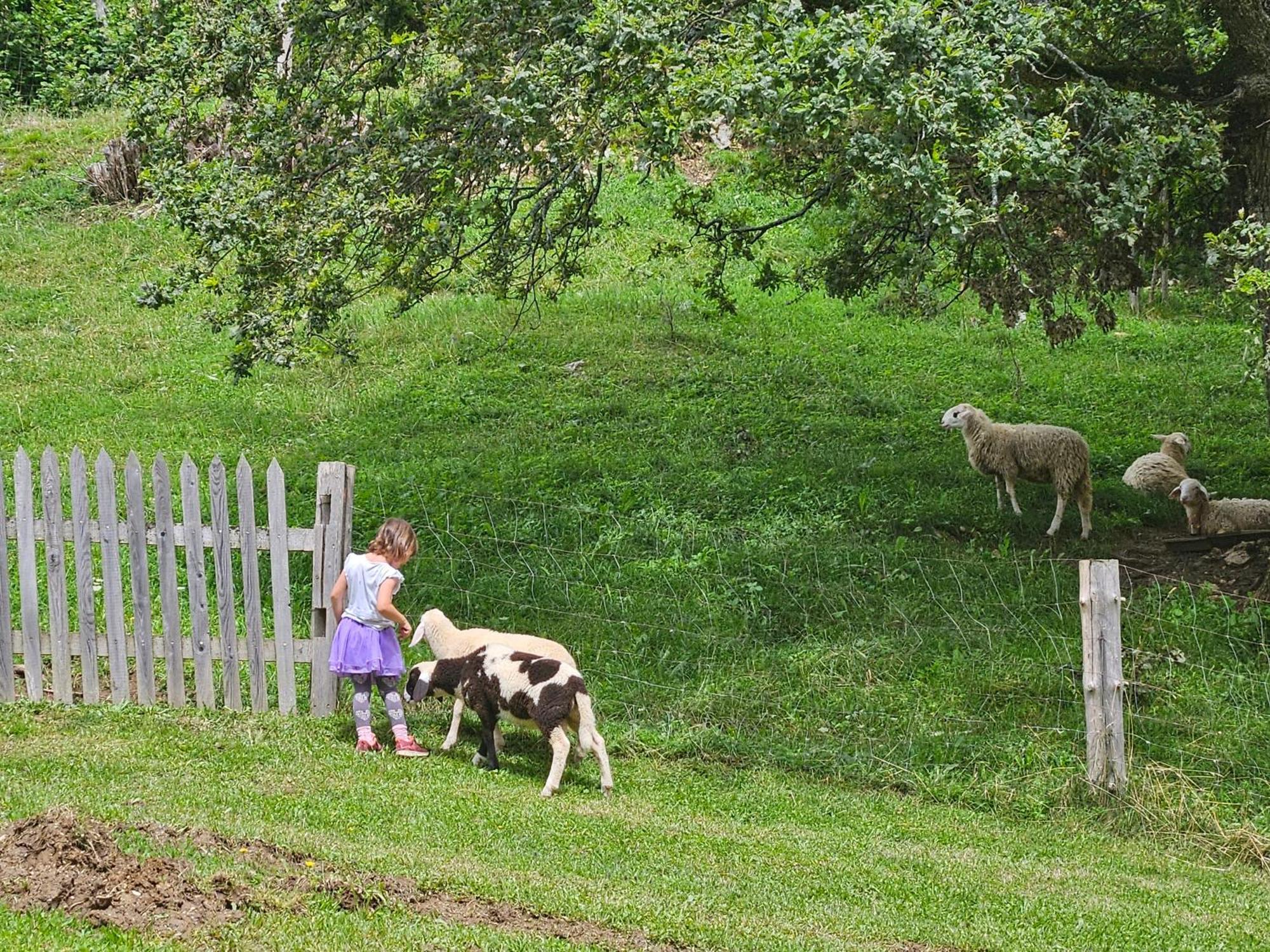 Tourist Farm Pr'Dovar ツェルクニェ・ナ・ゴレニスケム エクステリア 写真