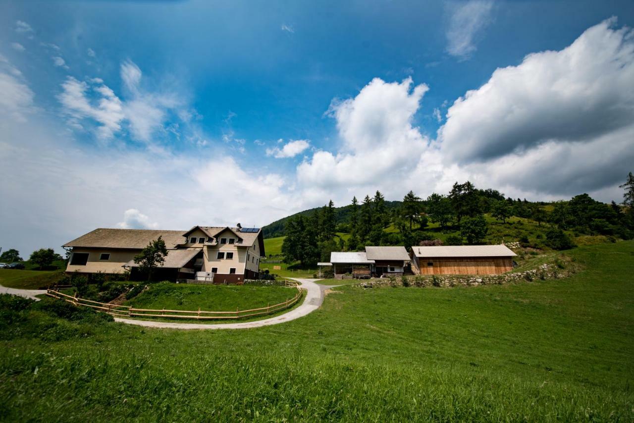 Tourist Farm Pr'Dovar ツェルクニェ・ナ・ゴレニスケム エクステリア 写真